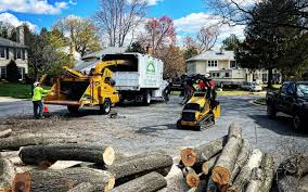 Best Tree Risk Assessment  in Arta, CA