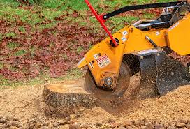 Best Lot and Land Clearing  in Arta, CA
